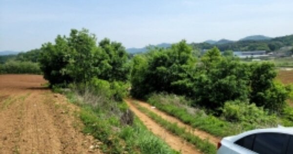 충청남도 천안시 동남구 성남면 석곡리 OOOOO 임야 경매 물건 이미지