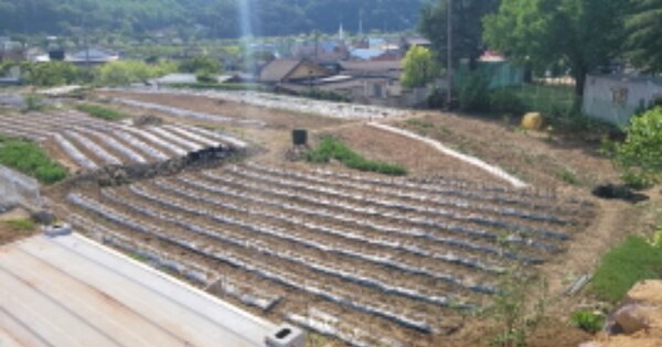 경상북도 청도군 금천면 동곡리 OOO O OOO 대지 경매 물건 이미지