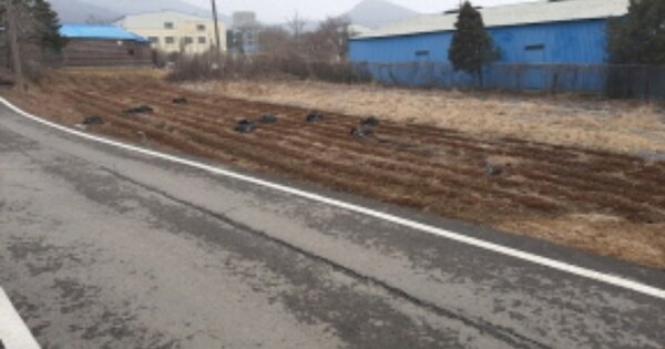 인천광역시 강화군 하점면 부근리 OOO 전 경매 물건 이미지