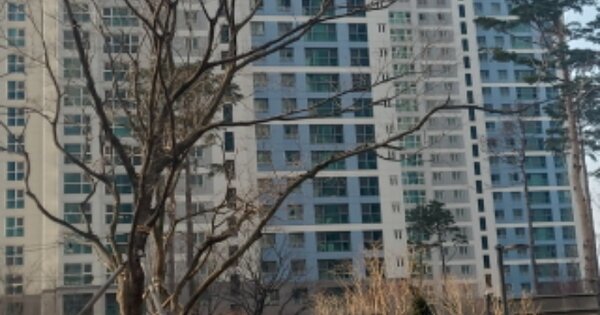 인천 연수구 송도동 308-1, 113동 OOOOOOOO OOOOOOOOOOOOOOO 아파트 경매 물건 이미지