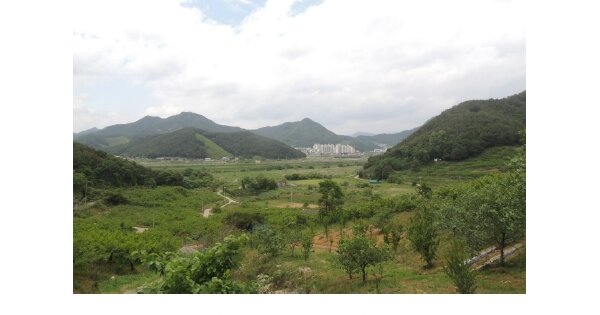 경상남도 창원시 의창구 북면 마산리 OOOOO O OOOOO 답 경매 물건 이미지