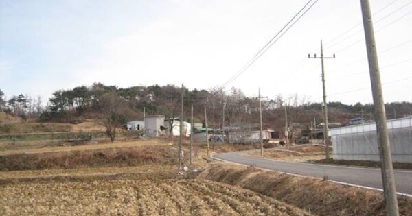 경상북도 상주시 화서면 지산리 OOOOO 임야 경매 물건 이미지