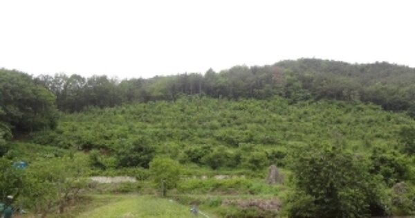 경상남도 의령군 화정면 상일리 OOOOO 전 경매 물건 이미지