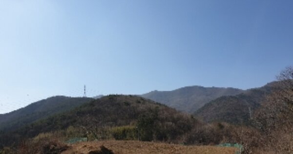 울산광역시 울주군 두서면 내와리 OOOO 임야 경매 물건 이미지
