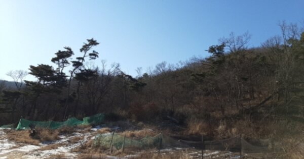 인천광역시 강화군 삼산면 석포리 OOOOOO 임야 경매 물건 이미지