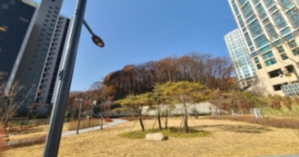 경기도 성남시 분당구 대장동 OOO 임야 경매 물건 이미지
