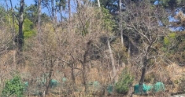 경상남도 거제시 사등면 사곡리 OOOO 전 경매 물건 이미지