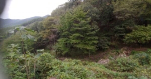 경상남도 고성군 상리면 고봉리 OOO O OOO 답 경매 물건 이미지