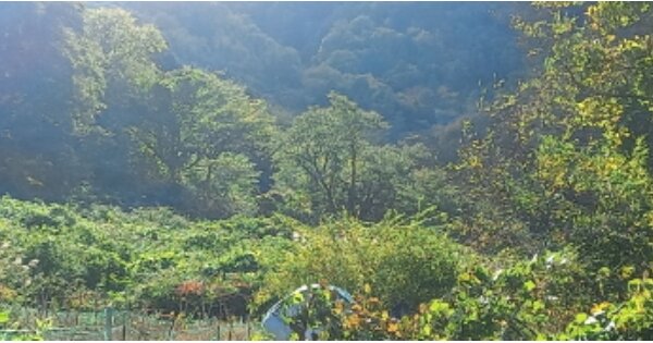 경상남도 거제시 옥포동 OOOO 답 경매 물건 이미지