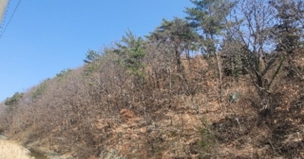 경상남도 거제시 사등면 사등리 OO O OOO 임야 경매 물건 이미지