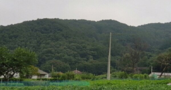 경기 광주시 도척면 상림리 OOOO 임야 경매 물건 이미지