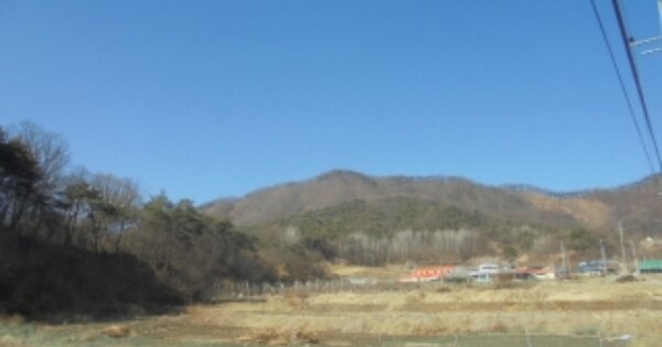 충청북도 충주시 소태면 야동리 OOOOO 임야 경매 물건 이미지