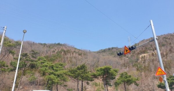 부산광역시 강서구 지사동 OOO 임야 경매 물건 이미지