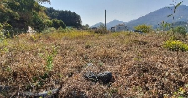 충청북도 영동군 추풍령면 추풍령리 OOOOO O OOO 단독주택 경매 물건 이미지