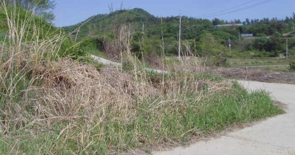 전라남도 해남군 현산면 읍호리 OO 전 경매 물건 이미지