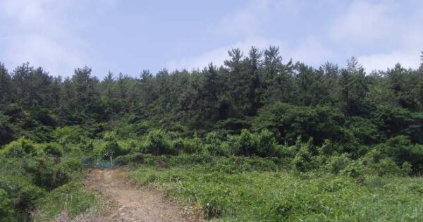 전라남도 완도군 보길면 중통리 OOO 전 경매 물건 이미지