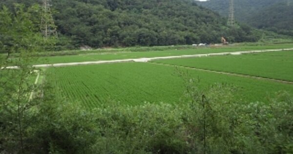 경상남도 밀양시 초동면 덕산리 OOOOOO 답 경매 물건 이미지