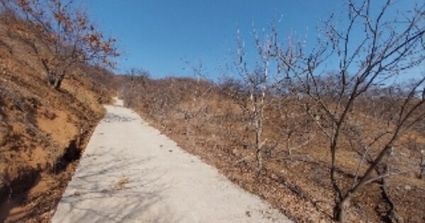 충청남도 공주시 정안면 태성리 OOO 임야 경매 물건 이미지