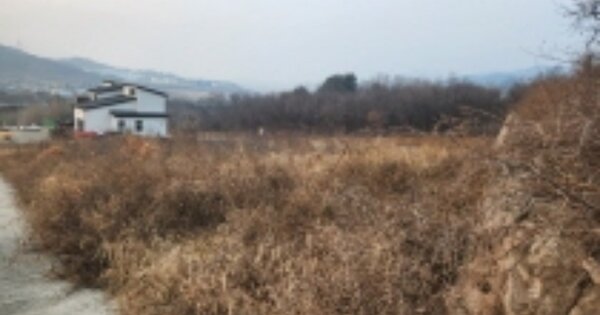 경상북도 경주시 건천읍 화천리 OOOOOO 과수원 경매 물건 이미지