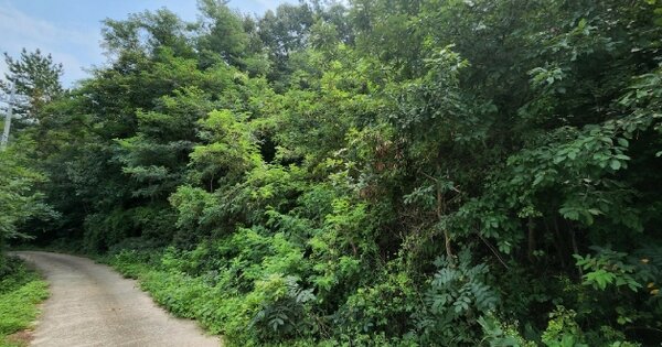 전라남도 여수시 화양면 옥적리 OOOO 전 경매 물건 이미지