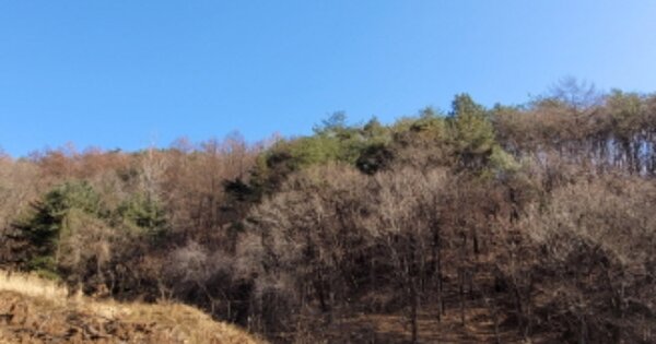 경기도 양평군 옥천면 용천리 OOO 임야 경매 물건 이미지