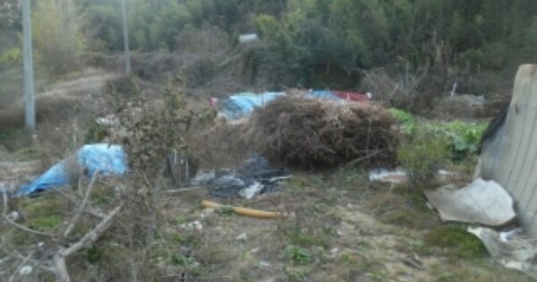 충청남도 당진시 고대면 성산리 OOO O OOOO 동물 및 식물 관련시설 경매 물건 이미지