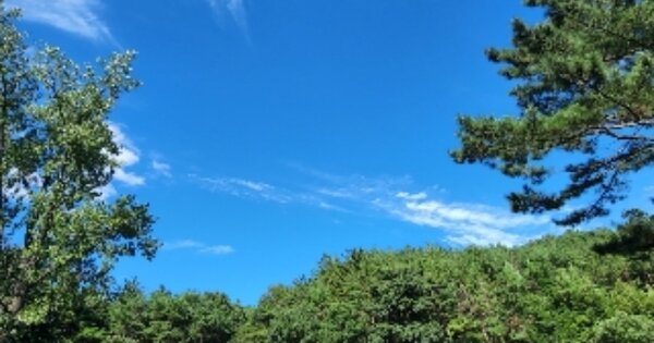 울산광역시 북구 달천동 OOOO 임야 경매 물건 이미지