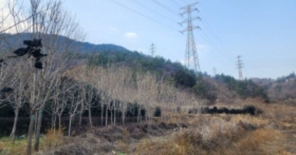 전라남도 여수시 율촌면 산수리 OOOO 답 경매 물건 이미지