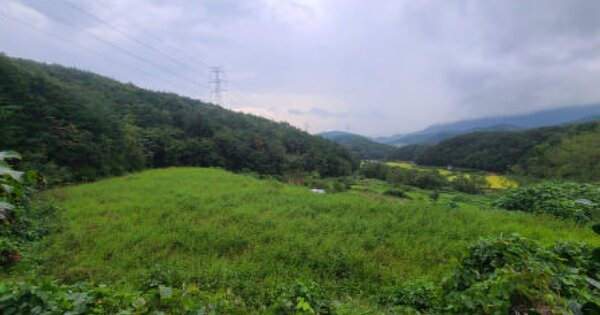 울산광역시 울주군 범서읍 두산리 OOO 답 경매 물건 이미지