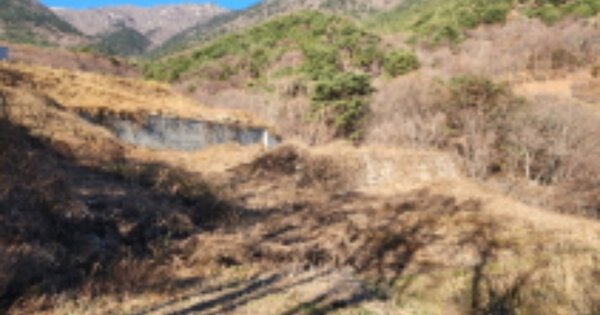울산광역시 울주군 삼남읍 가천리 OOOOOO O OOO 임야 경매 물건 이미지