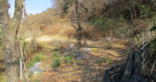 충청남도 금산군 군북면 내부리 OOO 전 경매 물건 이미지