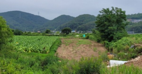 경상북도 영덕군 축산면 기암리 OOO 전 경매 물건 이미지