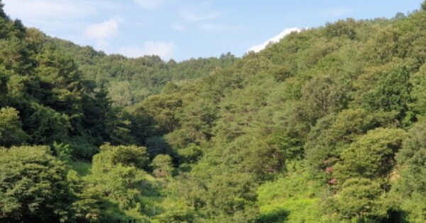 경상남도 합천군 묘산면 반포리 OOOOO O OOO 전 경매 물건 이미지