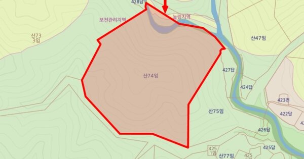 경상북도 경주시 감포읍 호동리 OOO 임야 경매 물건 이미지