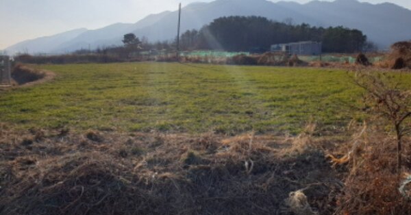 경상북도 경주시 건천읍 신평리 OOOO 전 경매 물건 이미지