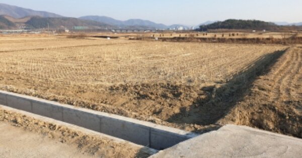 경상북도 경주시 건천읍 신평리 OOOOO 답 경매 물건 이미지