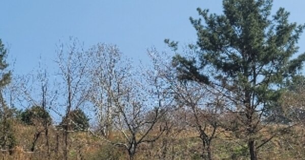 경상남도 통영시 북신동 OOOOO 전 경매 물건 이미지