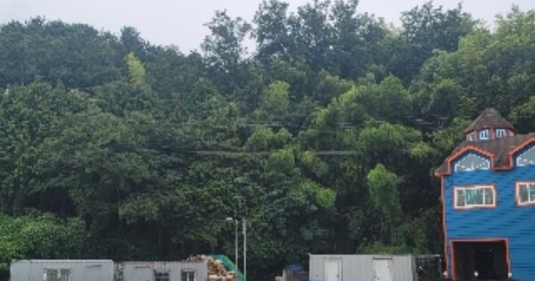 경상남도 통영시 도남동 OOO 임야 경매 물건 이미지