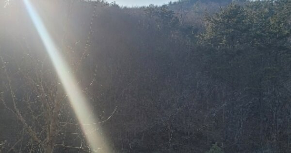 경상남도 통영시 산양읍 신전리 OOOO 임야 경매 물건 이미지