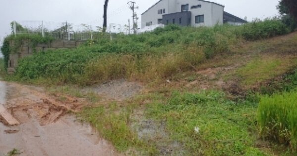 충청북도 음성군 대소면 미곡리 OO 임야 경매 물건 이미지
