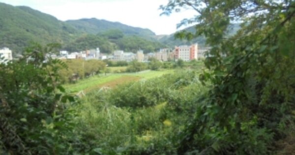 충청북도 충주시 수안보면 온천리 OOO 전 경매 물건 이미지