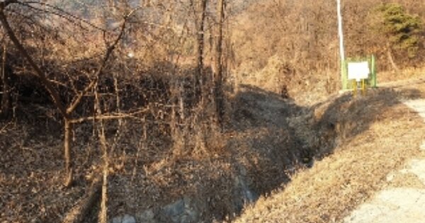 충청북도 음성군 감곡면 상우리 OOO 임야 경매 물건 이미지