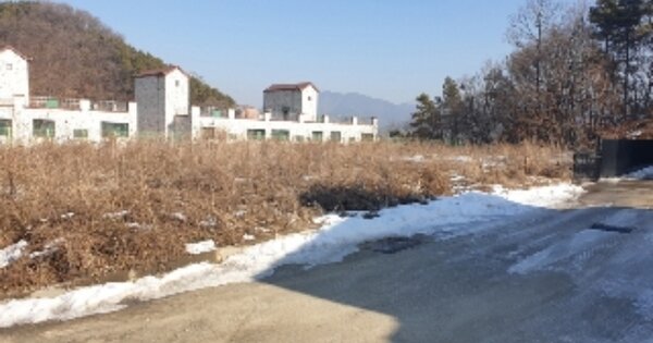 충청북도 음성군 금왕읍 무극리 OOOOO O OOO 임야 경매 물건 이미지