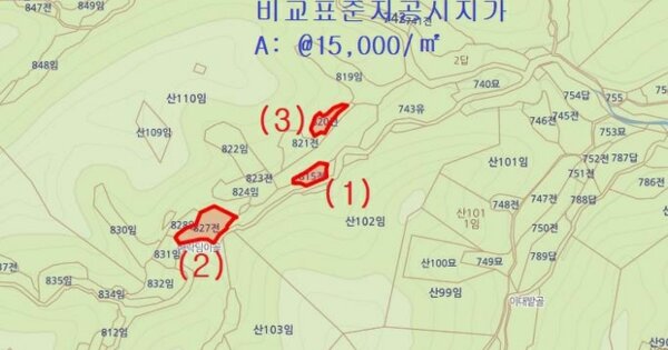 경상북도 포항시 남구 대송면 장동리 OOO 전 경매 물건 이미지