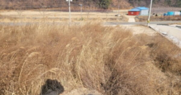 경상북도 포항시 북구 흥해읍 덕성리 OOO 답 경매 물건 이미지
