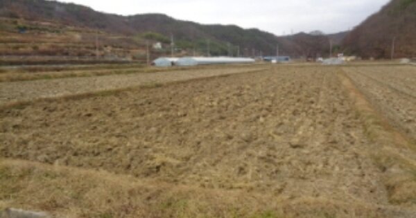 경상남도 진주시 미천면 상미리 OOOOO O OOO 답 경매 물건 이미지