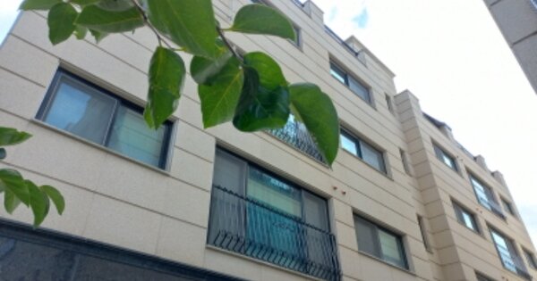 경기 부천시 작동 126-3, 비동 OOOOOO OOOOOOOOOO 도시형생활주택 경매 물건 이미지