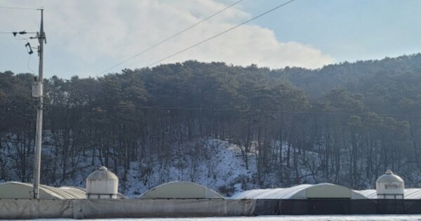 경기도 안성시 보개면 기좌리 OOO 임야 경매 물건 이미지