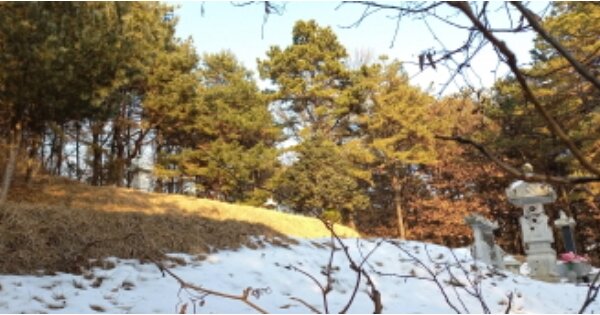 경기도 평택시 진위면 동천리 OOOOO 임야 경매 물건 이미지
