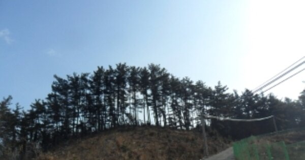 충청남도 태안군 이원면 관리 OOOO 임야 경매 물건 이미지